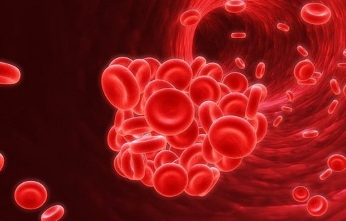 Câu chuyện quốc tế: Nỗi đau dai dẳng từ sự tắc trách